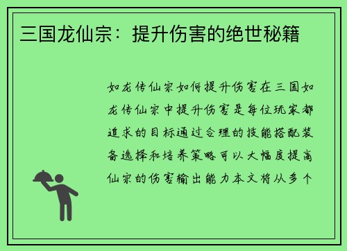 三国龙仙宗：提升伤害的绝世秘籍